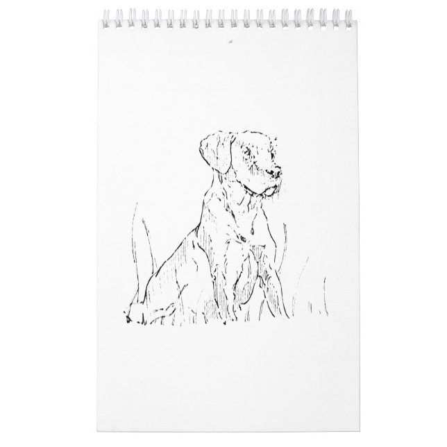 Gulds Retriever Väggkalender, Present till Hundäls Kalender (Omslag)