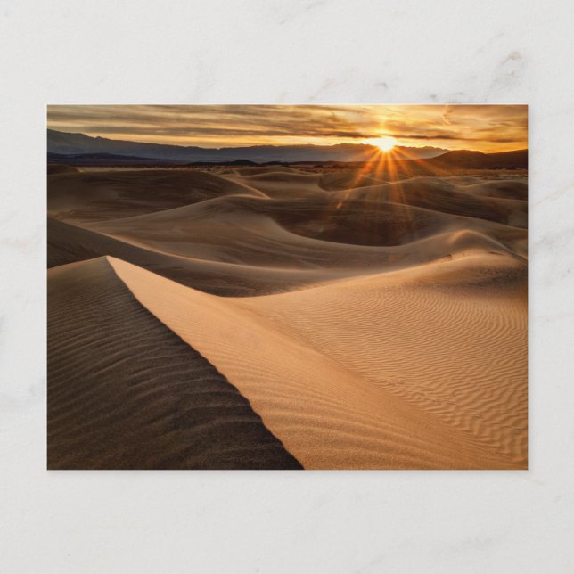 Guldsanddyner, Death Valley, CA Vykort (Framsida)