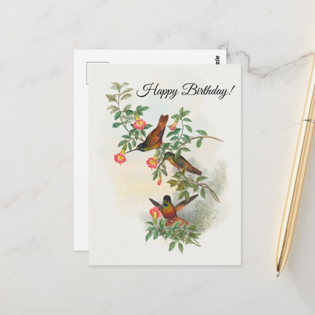 Guldstjärnspanna Postkort Vykort (Fram/Back In Situ)