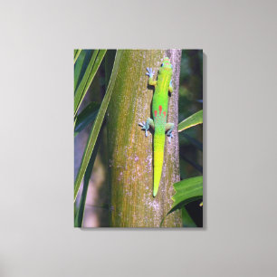 GuldstoftGecko "guldstoftgecko", gecko som är Canvastryck