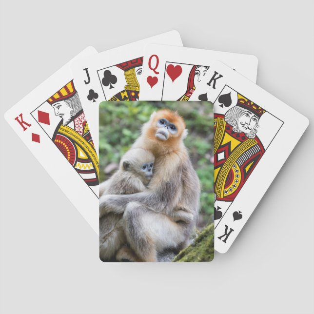 Guldstumpornäsa med unge casinokort (Baksidan)