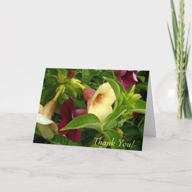 Guldtrumpet Tacksamhetskort Tack Kort (Framsida)