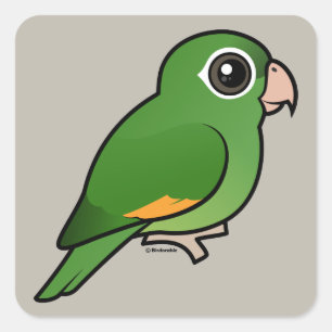 Guldvingad parakeet fyrkantigt klistermärke