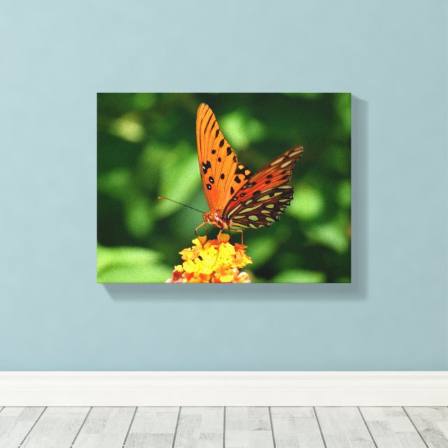Gulf fritillary Butterfly Stretched Canvas Print (Insitu (trägolv))
