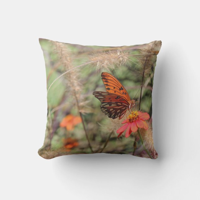 Gulf Fritillary på Zinnia Kudde (Framsida)