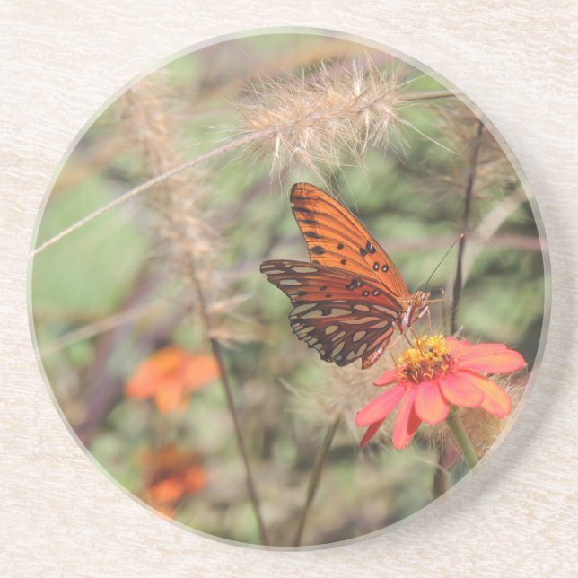 Gulf Fritillary på Zinnia Underlägg Sandsten (Framsidan)