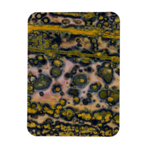 Gulfläckig Ocean Jasper Magnet