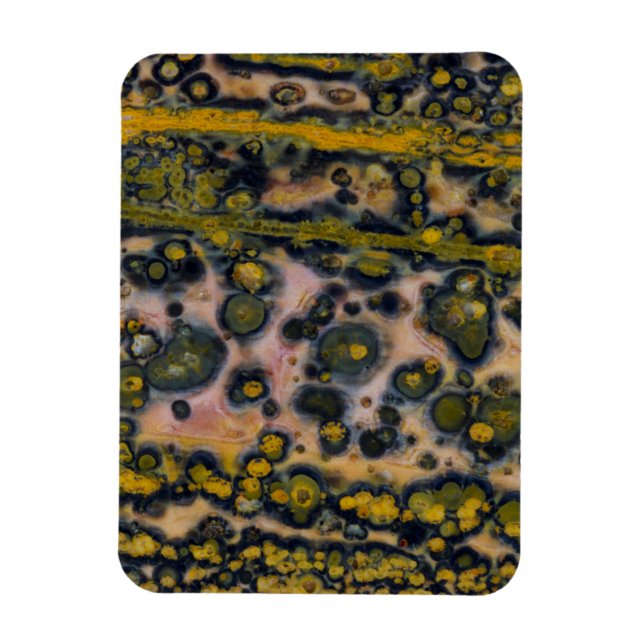 Gulfläckig Ocean Jasper Magnet (Vertikal)