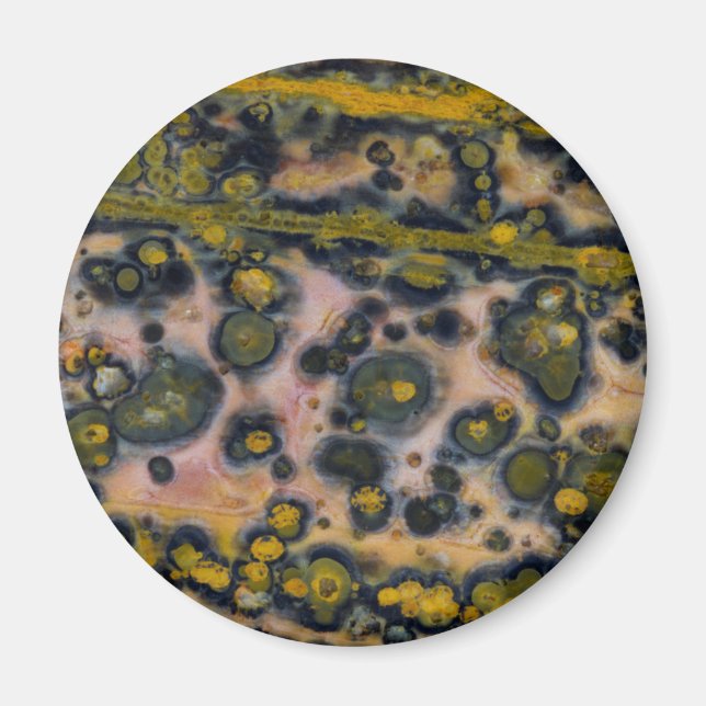 Gulfläckig Ocean Jasper Magnet (Framsidan)
