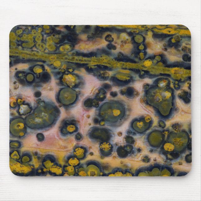 Gulfläckig Ocean Jasper Musmatta (Framsidan)