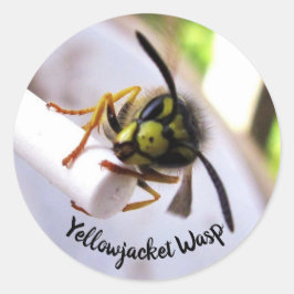 Gulgeting Vespa (Vespulae) Sött Ansikte Runt Klistermärke