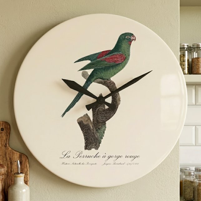 Gulhalsad parakit, Brotogeris jugularis Stor Klocka (Orange-Chinned Parakeet, Brotogeris jugularis. Large Clock)