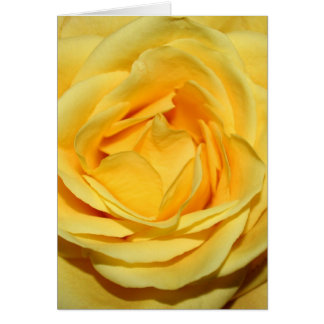 gulhavsräka hälsningskort