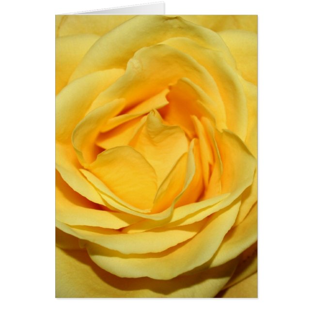 gulhavsräka hälsningskort (Framsidan)