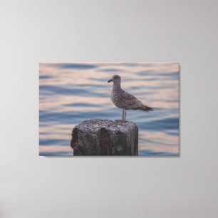 Gull at Dusk Canvastryck