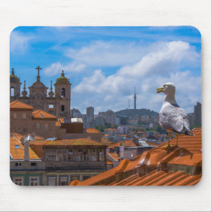 Gull Birds Eye View Rooftops of Portugal Musmatta