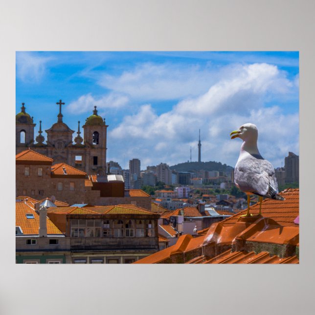 Gull Birds Öga View Roofta ops of Portugal Poster (Framsidan)