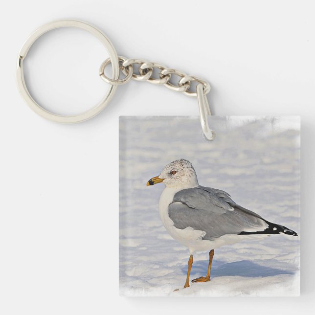 Gull i snö (Framsidan)