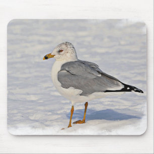 Gull i snö musmatta