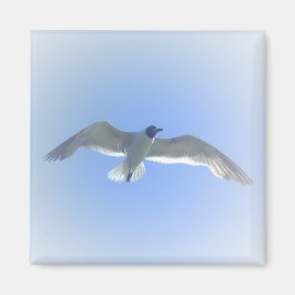 Gull in Flight 2 Magnet