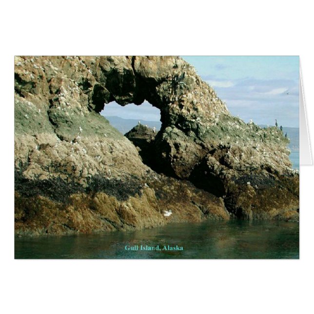 Gull Island Alaska Greeting Card OBS Kort (Framsidan Horizontal)