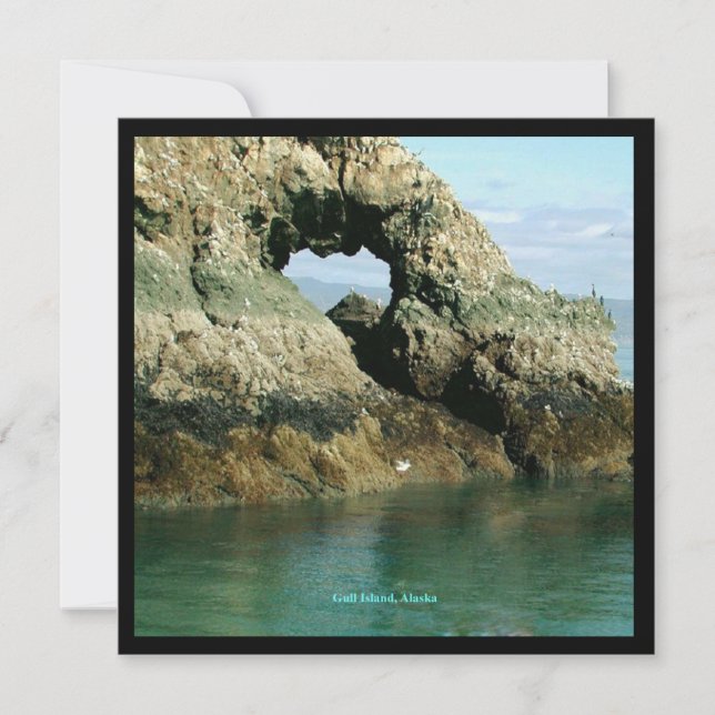Gull Island, Alaska Inbjudningar (Framsida)