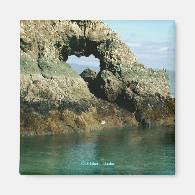 Gull Island, Alaska Magnet (Framsidan)