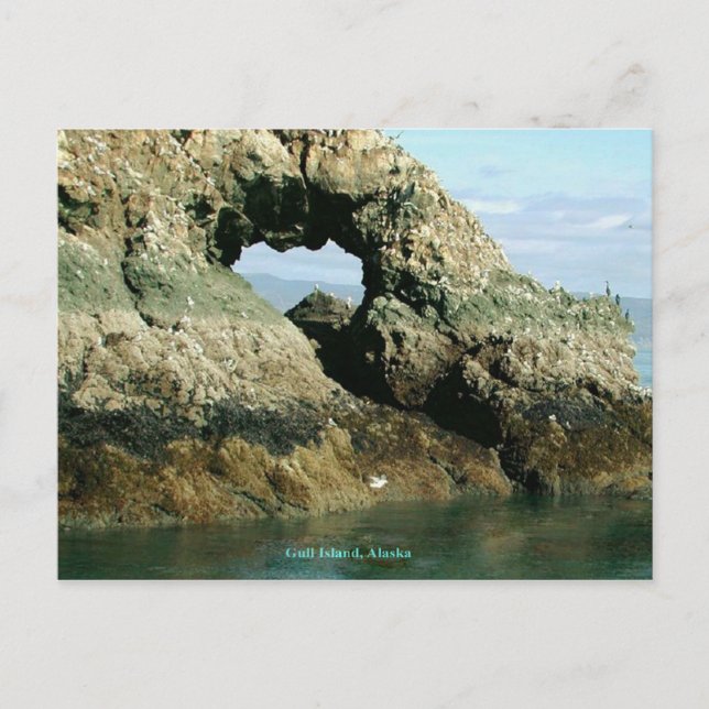 Gull Island, Alaska Vykort (Framsida)