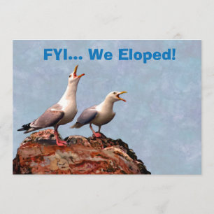 Gull-meddelande om att vi har gått upp meddelande