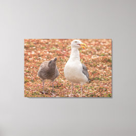 Gull och chick canvastryck