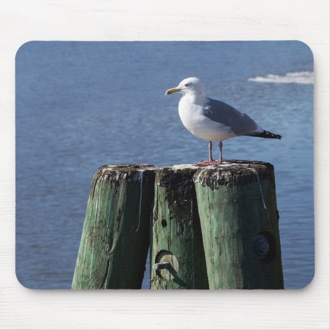 Gull on Pilings Musmatta (Framsidan)