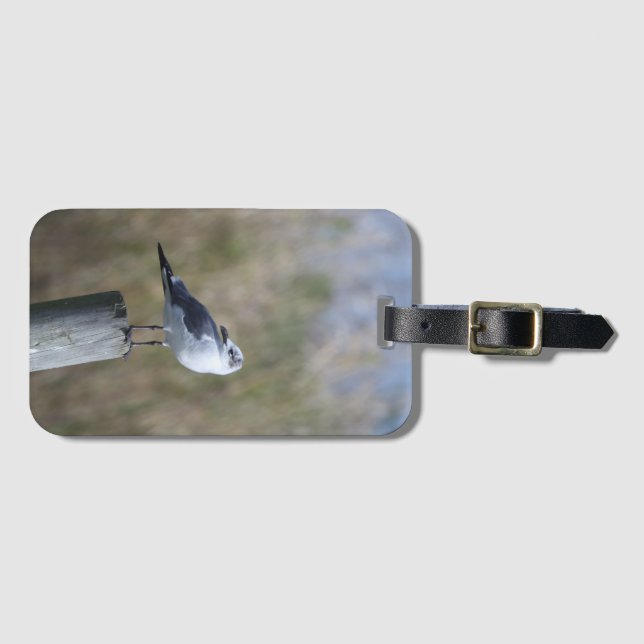 Gull på inlägg bagagebricka (Framsida horisontal)