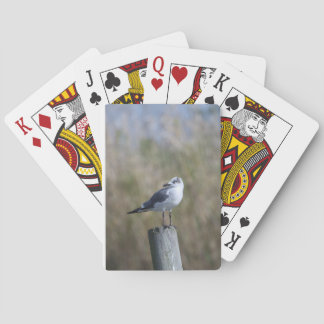 Gull på inlägg casinokort