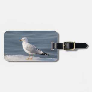 Gull på is bagagebricka