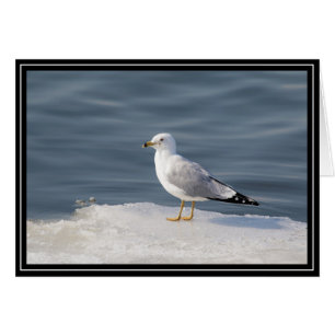 Gull på is hälsningskort