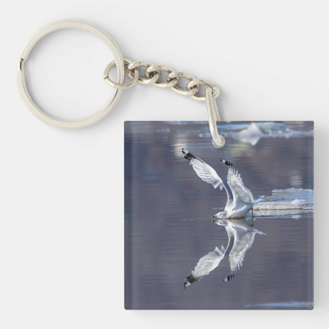 Gull Refltions (Framsidan)