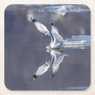 Gull Refltions Underlägg Papper Kvadrat