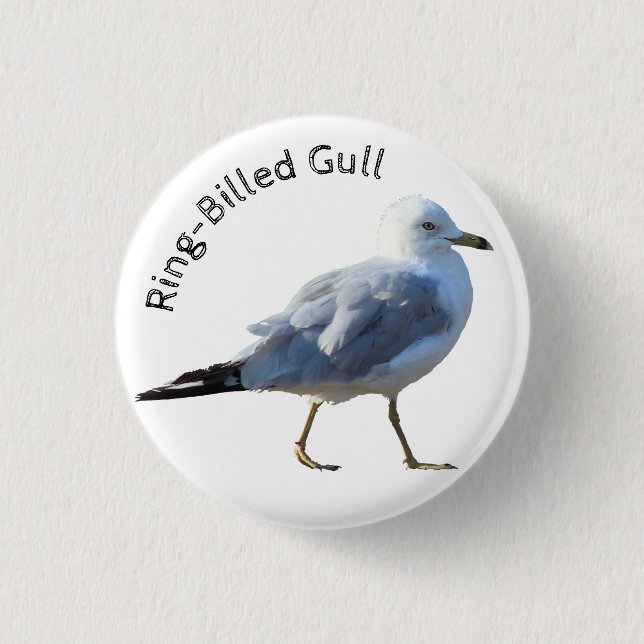 Gull, ring-Billed Knapp (Framsida)