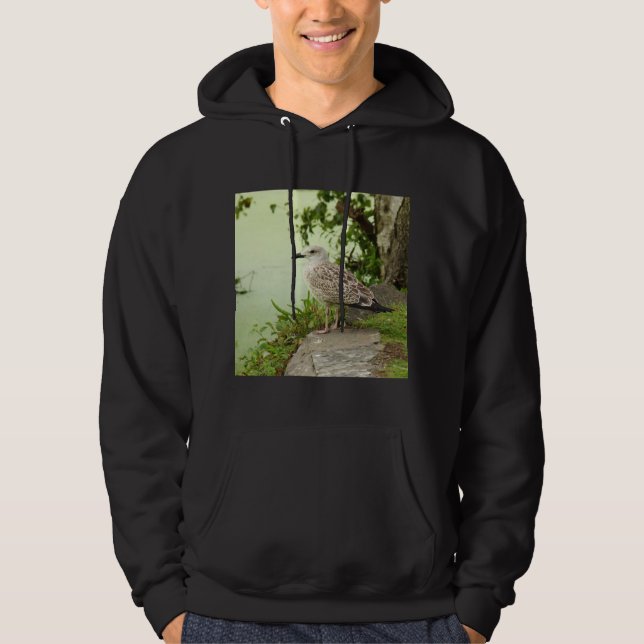 Gull Sweatshirt (Framsida)