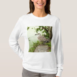 Gull T-shirt