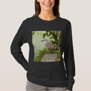 Gull Tröja