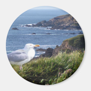 GullCoast Magnet