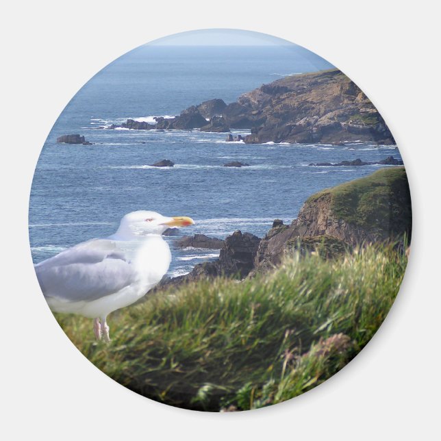 GullCoast Magnet (Framsidan)