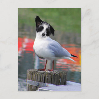 Gulldog Vykort