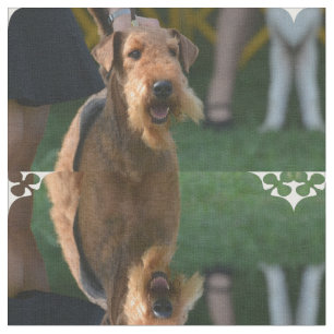 Gullig AiredaleTerrier Tyg