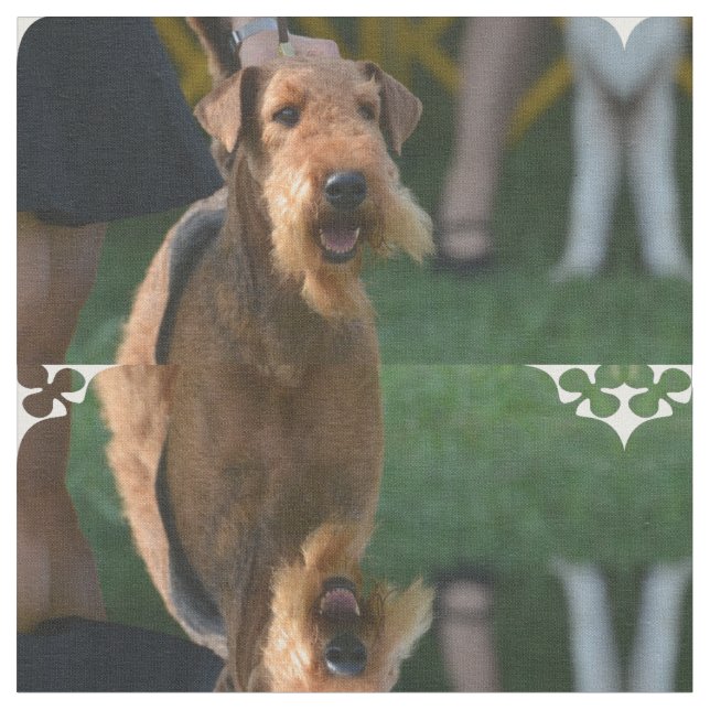 Gullig AiredaleTerrier Tyg (Närbild)
