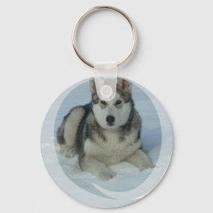 Gullig alaskabo Malamute Nyckelring