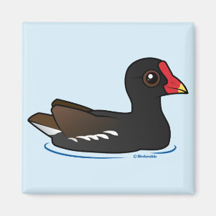 Gullig allmänning Gallinule Magnet