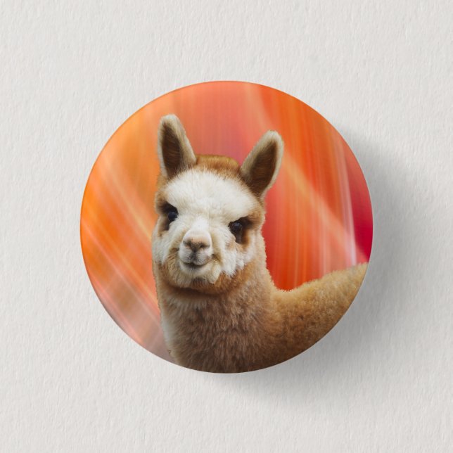 Gullig Alpaca knäppas Knapp (Framsida)