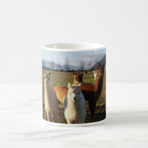 Gullig Alpacakaffemugg Kaffemugg